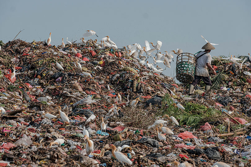 Landfill full of plastic waste with a plastic waste collector standing in it.